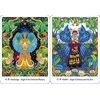 Destiny Books Amazonian Angel Oracle Kortos