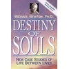 Destiny Of Souls Knyga Llewellyn