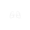Dji Phantom P4 Part 62 Propeller Guard (propelerių apsauga)