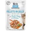 Drėgnas Kačių Maistas - Brit Care 12 x 85g