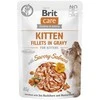 Drėgnas Kačių Maistas - Brit Care - 85 g - Lašišos