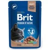 Brit Premium Liver sterilizuotiems 100 g