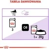 Royal Canin FHN Cat sterilizuotas padažas 12x85 g