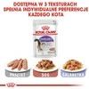 FHN Cat sterilizuotas padažas 12x85 g