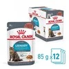 FCN Cat Urinary Care padažas 12x85 g