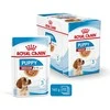 Royal Canin SHN Dog Medium Puppy Gravy 10x140 g