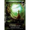 Earth Dancers Earth Dancer Soul Helper Oracle kortos