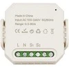 Energetikos Matuoklis - Tuya 1P+N 80A Wi-Fi Balso Valdymas