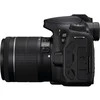 Canon EOS 90D + EF-S 18-55mm f/4-5.6 IS STM
