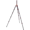 Fotoaparato trikojis - 3 Legged Thing Pro 2.0 Albert Bronze Carbon 182 cm 30 kg