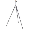 Fotoaparato trikojis - 3 Legged Thing Pro 2.0 Albert Carbon pilkas
