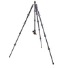 Fotoaparato trikojis - 3 Legged Thing Pro 2.0 Albert Carbon pilkas