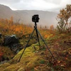 Fotoaparato trikojis - Falcam TreeRoot Quick Lock Pro T00A4901 153 cm 1,7kg