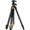 Fotoaparato trikojis - Fotopro Origin Plus + O 8H Carbon 20th Anniversary Edition juoda / auksinė
