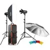 Fotografijos apšvietimo rinkinys - Godox E300 Studio Kit (2 Flash Heads, 150W Modeling Lamp, Wireless Trigger)