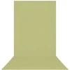 Fotografijos fonas - Westcott X Drop 5' x 12' Wrinkle Resistant Light Moss Sweep Žalias