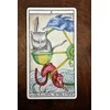 Fournier Tarot Cats Kortos