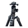 Galvutė trikojui Fotopro FPH-42QS Arca-Type Ball Head