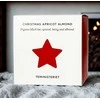 Christmas Fireside loose juodas tea 100g - Teministeriet