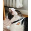 ZOLUX Chatouille juodas - cat collar