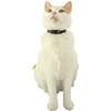 ZOLUX Chatouille juodas - cat collar