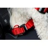 ZOLUX Travel Safe M juodas - dog harness