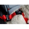 ZOLUX Travel Safe M juodas - dog harness