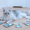 Gyvūnų maistas - ANIMAL ISLAND Kalakutiena sultyse šlapias kačių maistas 40x85g begrūdis