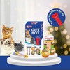 Inaba Ciao dovanų dėžutė,10xChuru, 2xDashi Delights, 1xvištienos file + skanėstų šaukštas