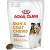Gyvūnų Maistas - ROYAL CANIN Šunų Odos ir Kailio Suaugusiųjų 240g Be Cukraus Be Sojų