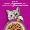 WHISKAS Adult Tasty Mix „Chef’s Choice“ 40×85 g pilnavertis šlapias maistas suaugusiems katėms padaže