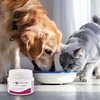 JM SANTE Vet Protector Gastro - Biotyk - multibiotikas šunims ir katėms – 60 g