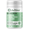 ANIFORTE Tick shield Large breeds - supplements for dogs - 60 tablets