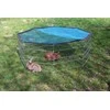 KERBL Modular Run Rabbit, šunų aptvaras su durelėmis – 8 elementai 57x56 cm su dangteliu