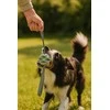 ZOLUX Ball TPR Outdoor Mėlyna - Dog toy