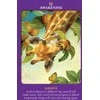 Hay House Animal Guides Tarot Kortos
