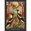 Hay House Guardian Of The Night Tarot Kortos