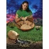 Hay House Juodas Goddess Within Oracle Kortos
