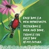 Hay House Louise Hay Affirmations For Forgiveness Kortos