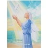 Hay House Manifesting With The Fairies Oracle Kortos