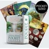 Hay House Mystical Shaman Pocket Oracle Kortos Dėžutėje