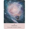 Hay House The Rose Pocket Oracle Kortos