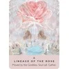 Hay House The Rose Pocket Oracle Kortos