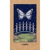 Hay House Transient Light Tarot Kortos