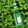 „Frischer“ indų ploviklis su pipirmėčių aliejumi, 500 ml