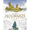 Insight Editions Spalvinimo Knyga - Hogwarts Legacy Oficialus Spalvinimo Knyga 60 Puslapių 21.7x27.5 cm