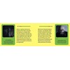 Star Wars Affirmation kortos Insight Editions