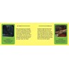 Star Wars Affirmation kortos Insight Editions