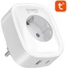 Gosund SP6 16A USB-C 20W Tuya smart WiFi/Bluetooth lizdas