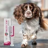 Jm Sante VET PROTECTOR Gastro Butyrate - papildai šunims ir katėms - 60 ml